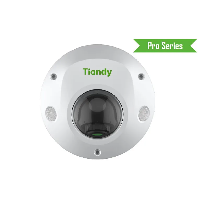 Tiandy TC-C35PS I3/E/Y/M/H/2.8mm(V4.2) 5 MP Dome IP Kamera
